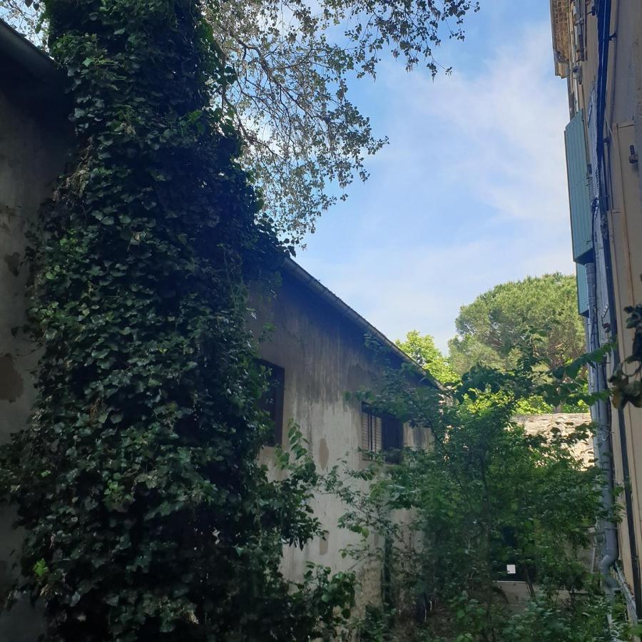 Appartement Intra Muros 8 Personnes Climatise Wifi Stationnement Facile Avignon Bagian luar foto
